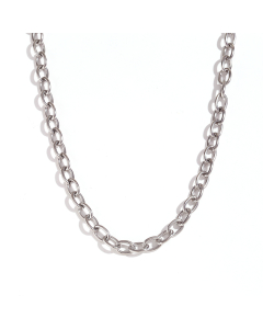 Colorza Basic Simple Style Classic Style Solid Color Stainless Steel Plating 18K Gold Plated Necklace-Steel Color-05