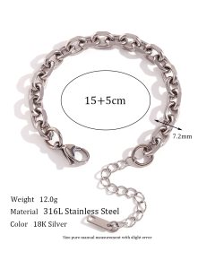 Colorza Simple Style Classic Style Solid Color Stainless Steel Plating 18K Gold Plated Necklace-Steel Color-01