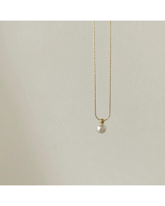 Simple Style Solid Color Stainless Steel Plating 18K Gold Plated Pendant Necklace_colorza_2