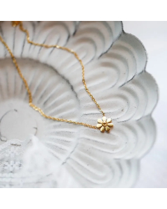 Simple Style Daisy Titanium Steel Plating 18K Gold Plated Pendant Necklace