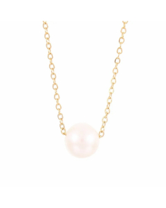 Simple Style Round Stainless Steel Shell Titanium Steel Plating 18K Gold Plated Necklace