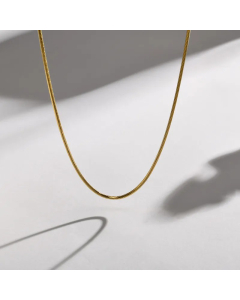 Gold Color Solid Color Titanium Steel Plating Necklace