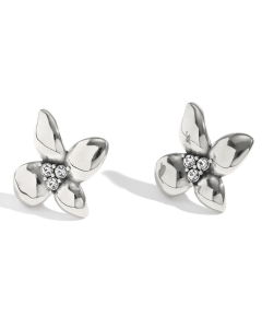 Wholesale Stainless Steel Earrings Snail Flower Stud Earrings-Steel Color-01