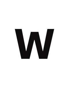 W Initial Letter Inlaid White Shell Stainless Steel Necklace CA7810228