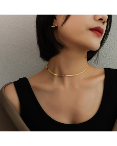 Wholesale Jewelry Flat Snake Chain Titanium Steel Necklace CA7810238