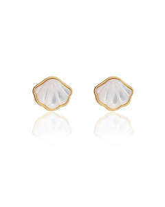 Wholesale Stainless Steel Shell Earrings Natural White Shell Earrings