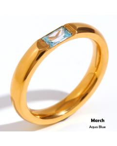 March INS Style Minimalism Plated 18K Gold Stainless Steel Rectangular Zircon Birthstone Ring 