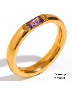 February INS Style Minimalism Plated 18K Gold Stainless Steel Rectangular Zircon Birthstone Ring 