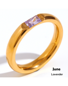 June INS Style Minimalism Plated 18K Gold Stainless Steel Rectangular Zircon Birthstone Ring 