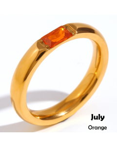 July INS Style Minimalism Plated 18K Gold Stainless Steel Rectangular Zircon Birthstone Ring 