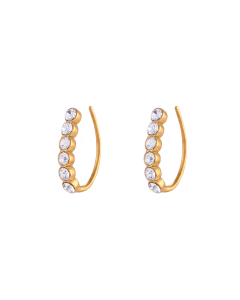 White Zircon Inlaid Fishhook Stainless Steel Earrings Stud Jewelry
