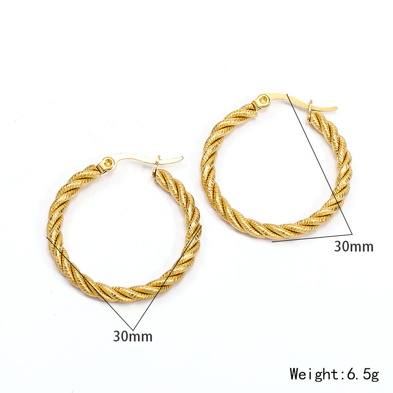 Twist Circle Stainless Steel Earrings