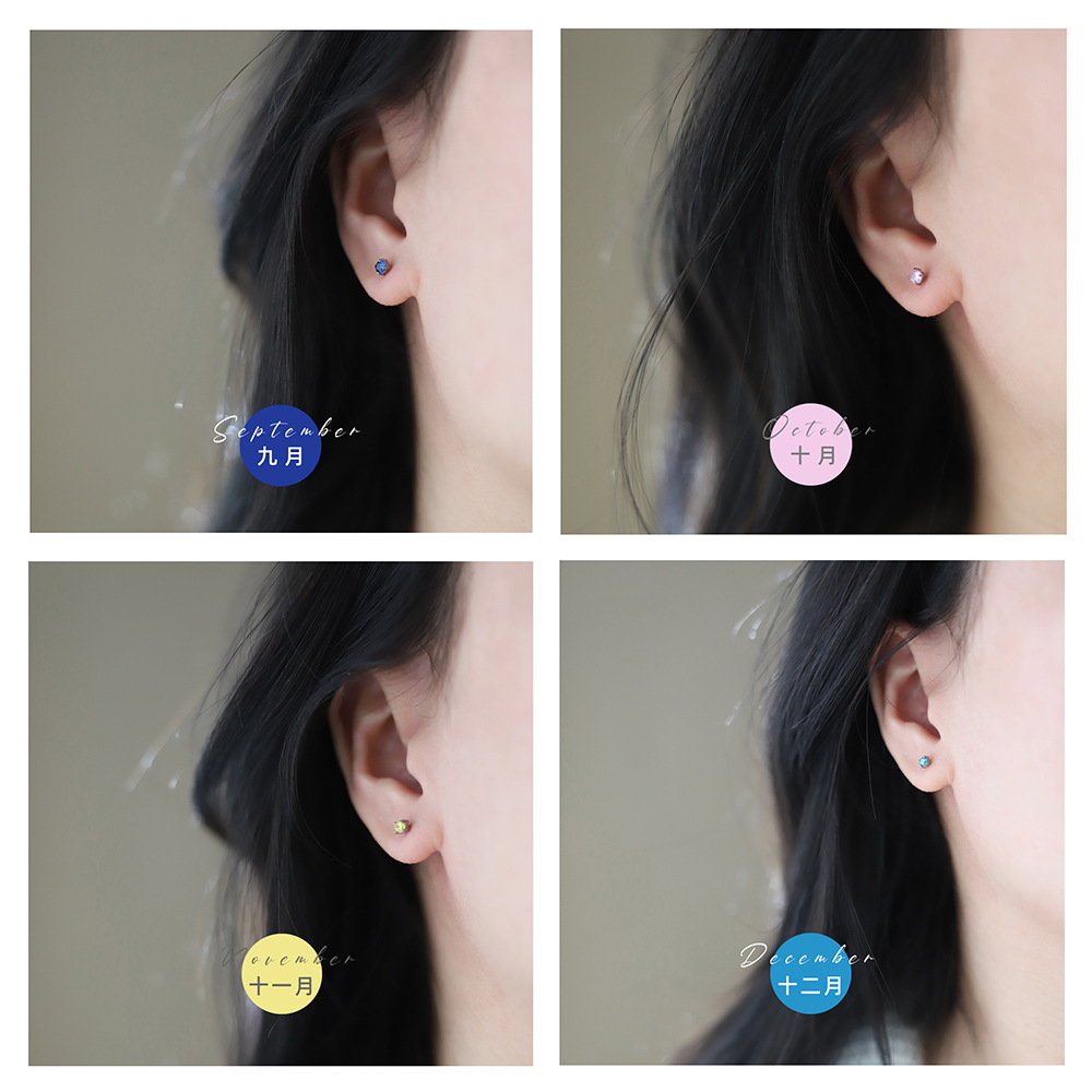 Stainless Steel Birthstone Twelve Colors Earrings