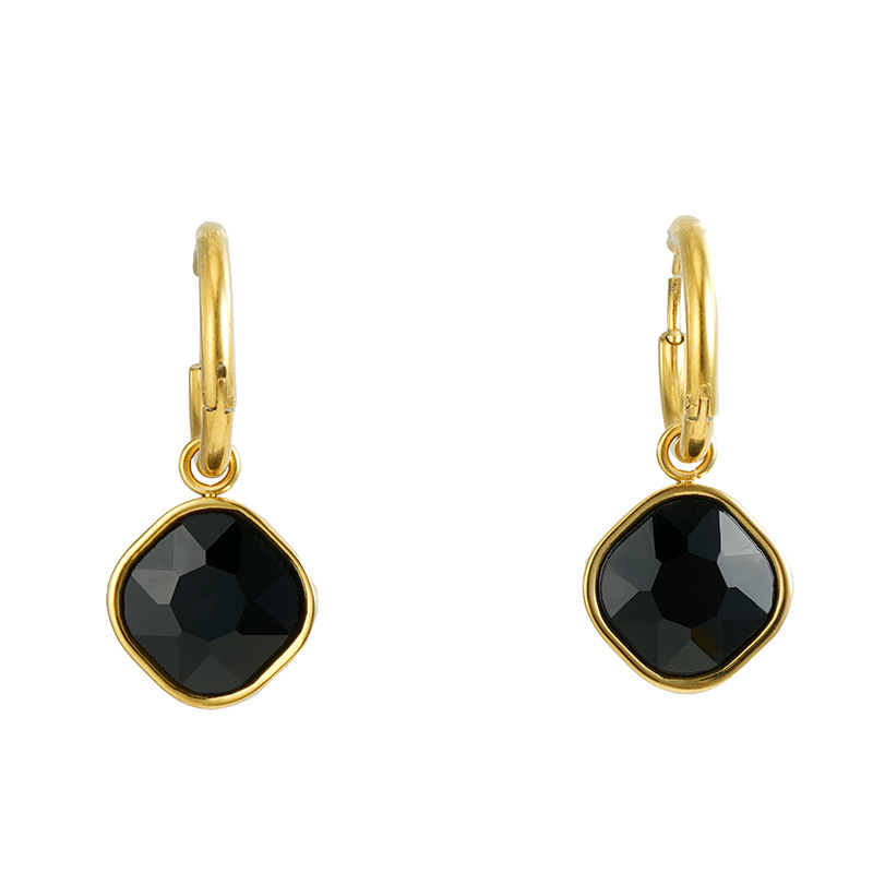 Blcak Zircon Inlaid Stainless Steel Earrings