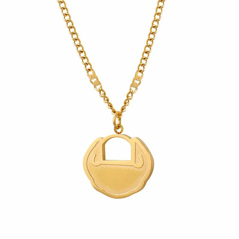 longevity lock, stainless steel necklace