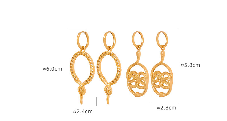 Snake Stainless Steel Earrings Information