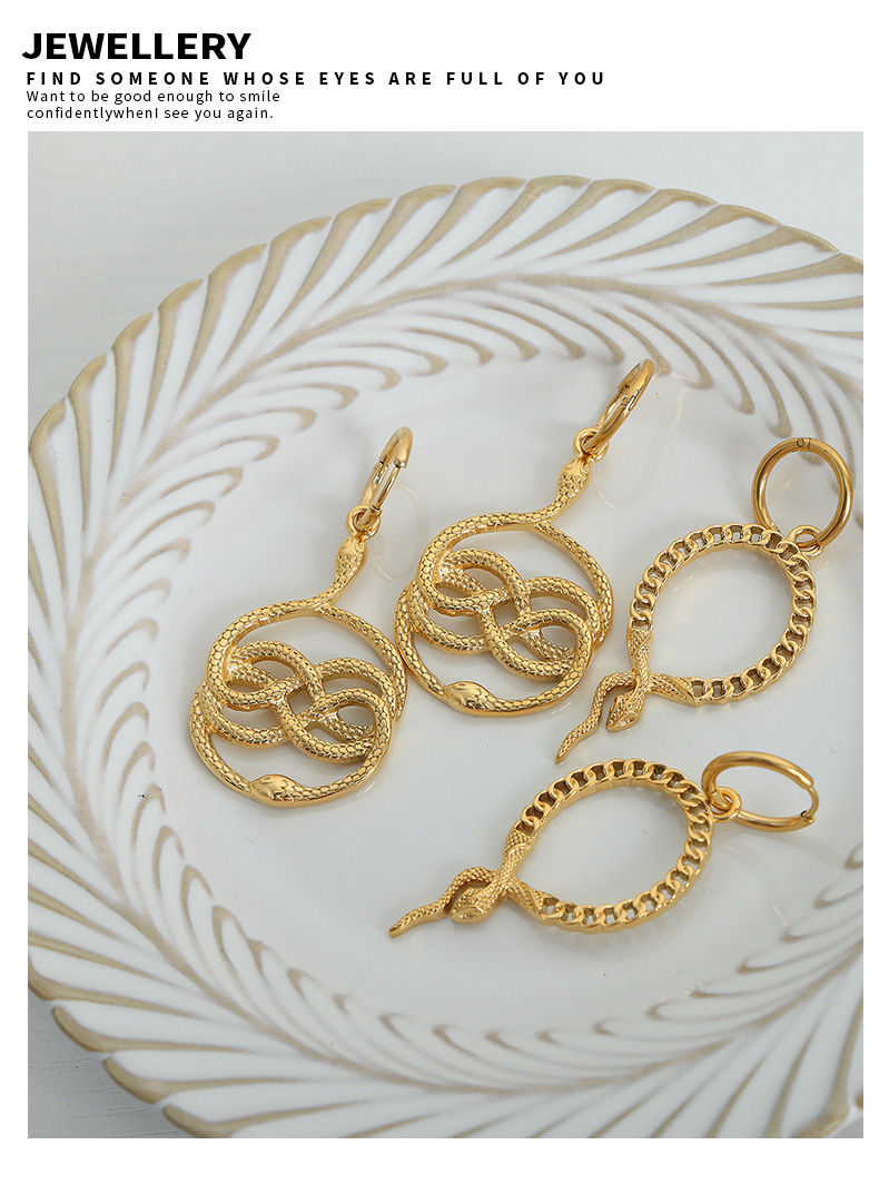 Snake Stainless Steel Earrings